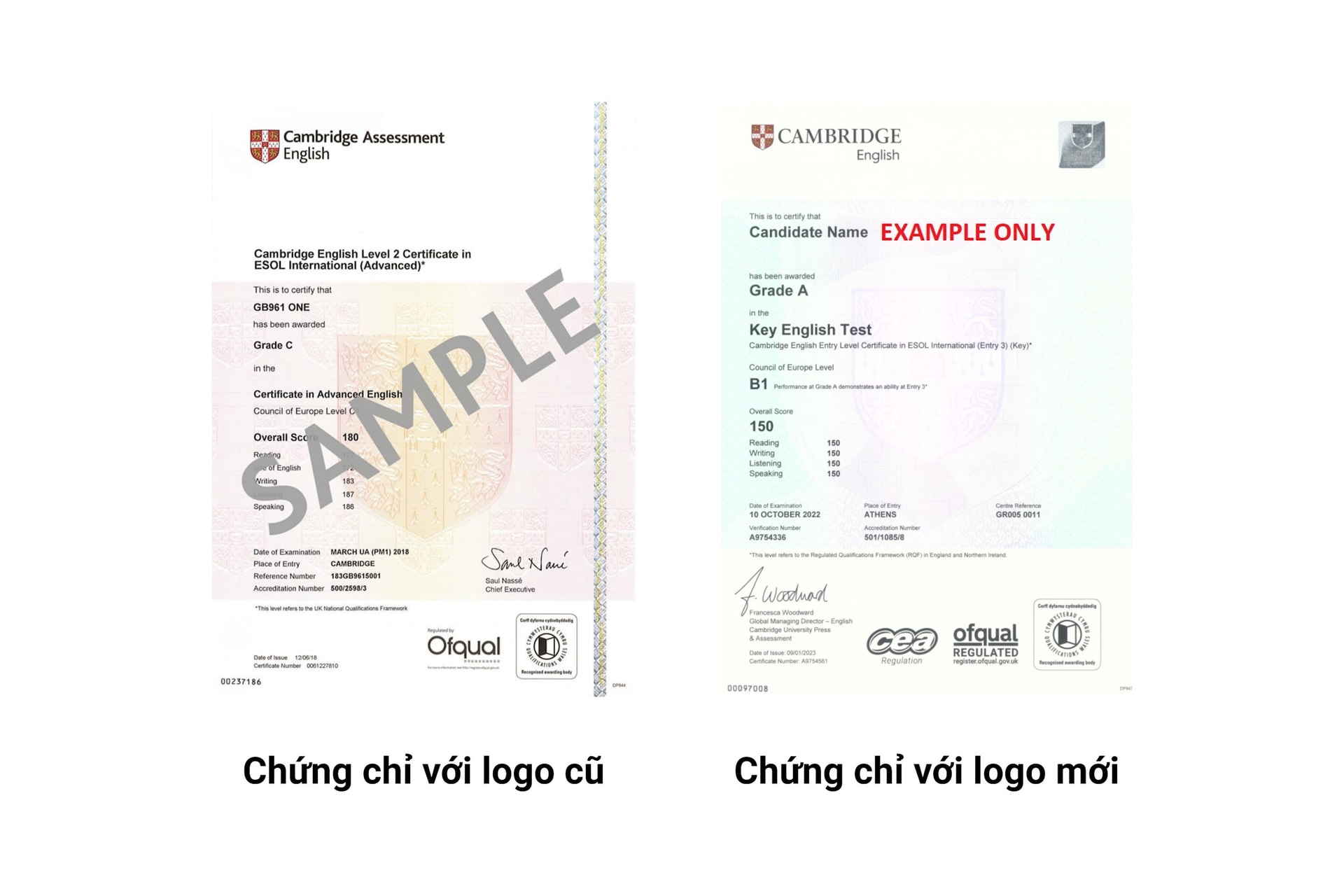 logo-moi-tren-chung-chi-cua-cambridge-english.jpg