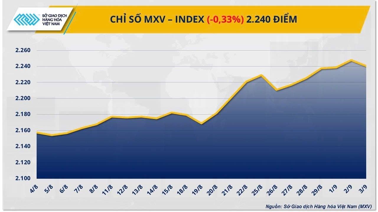 mxv-index.jpg