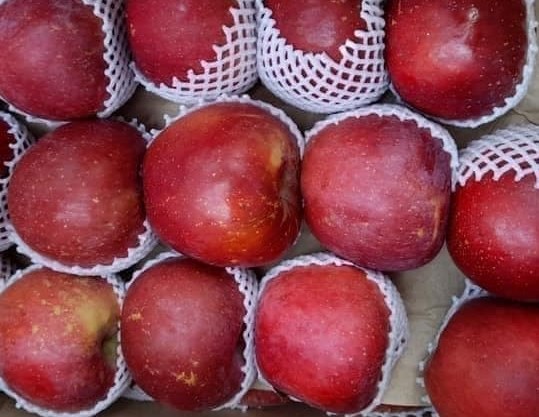 Ăn một quả táo trước khi ngủ, thói quen nhỏ, lợi ích lớn cho giấc ngủ và tiêu hóa