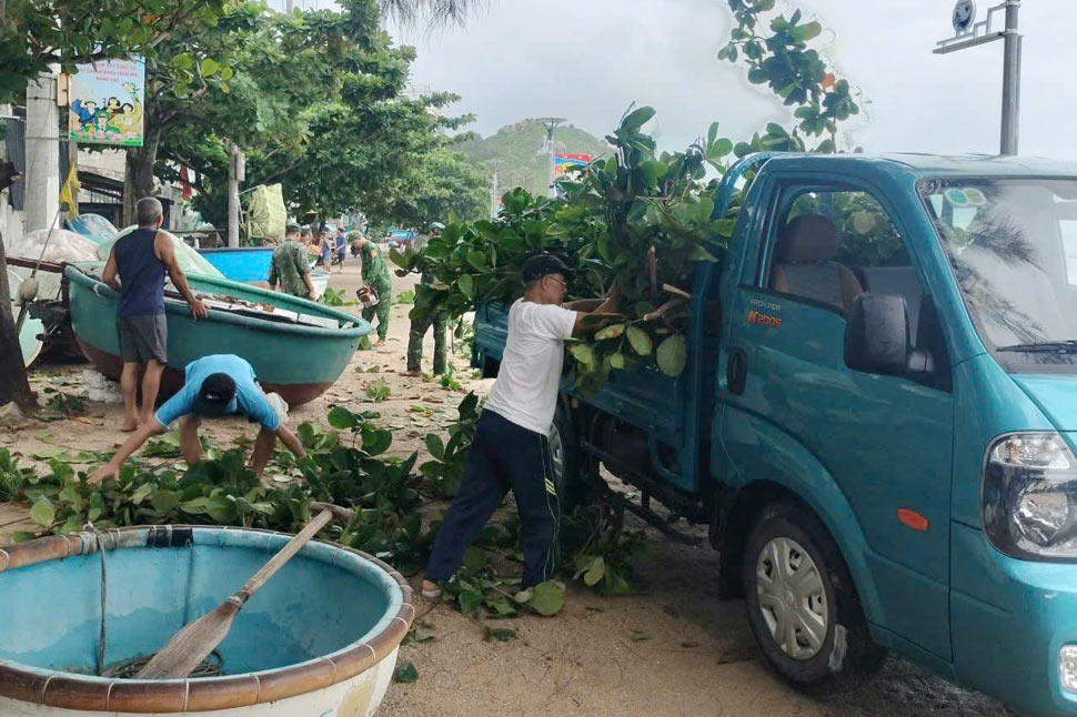 Chính quyền cắt tỉa cây xanh chống bão. Ảnh: Hoài Phương