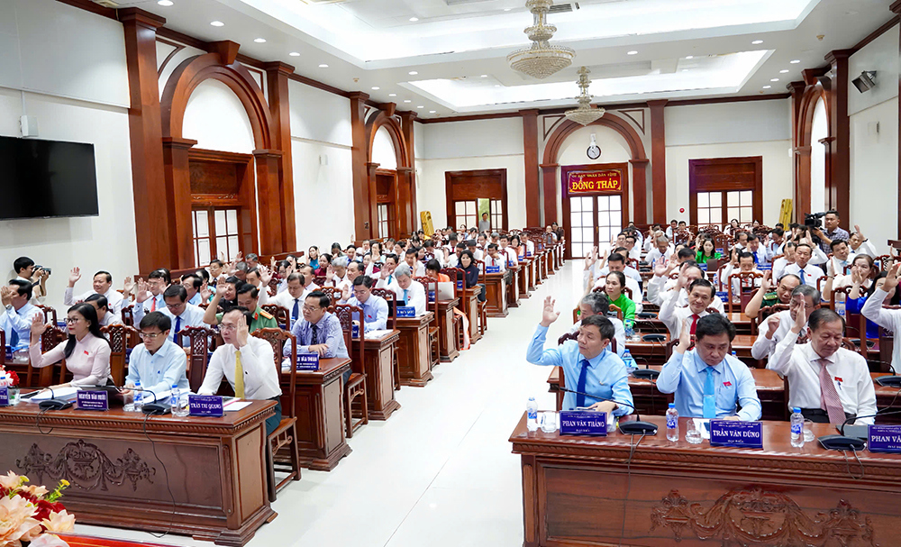 Các đại biểu biểu quyết thông qua các nghị quyết. Ảnh: UBND tỉnh Đồng Tháp