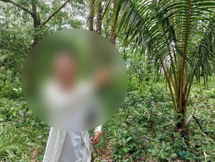 Nhiều trường hợp dù được VQG Phú Quốc có ý kiến trả lời đầy đủ, khẳng định không có cơ sở giải quyết nhưng các hộ dân vẫn tiếp tục có đơn kiến nghị. Ảnh: Nhóm PV.