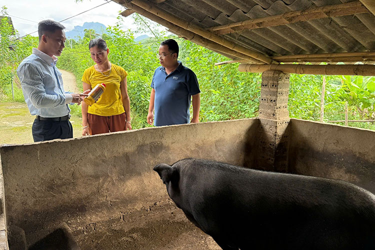 Cán bộ xã Nậm Nèn hướng dẫn phương pháp tiêu độc khử trùng và hướng chăn nuôi gắn với bảo vệ môi trường tại bản Nậm Nèn 2. Ảnh: xã Nậm Nèn