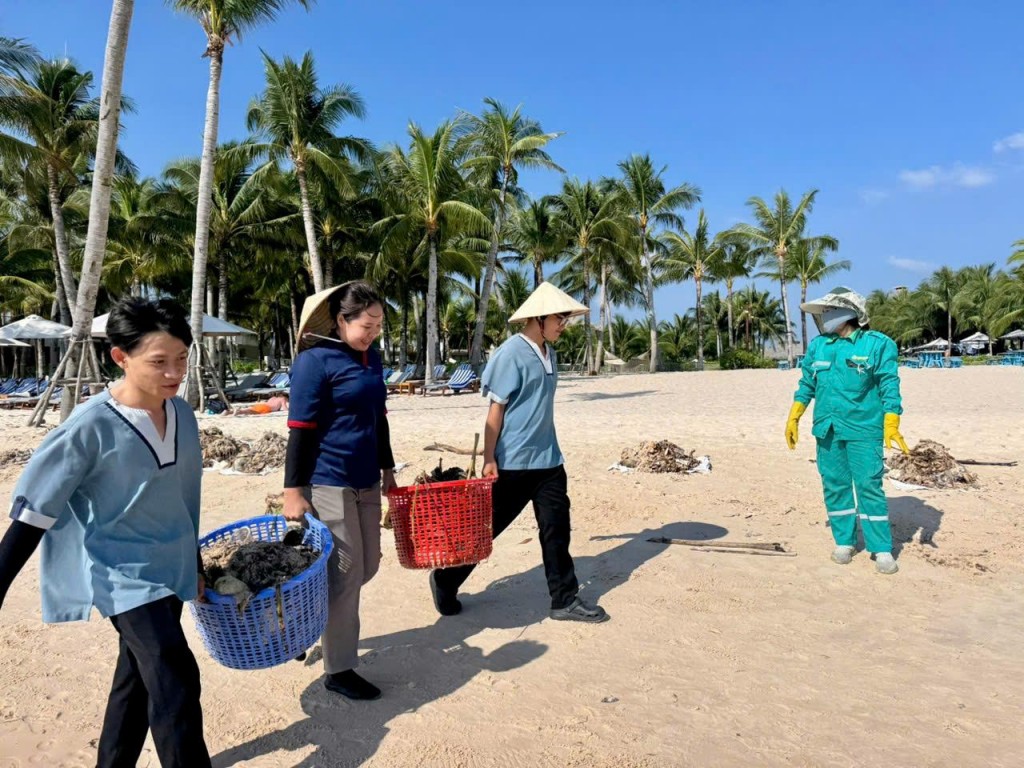 Cán bộ nhân viên cảnh quan túc trực hàng giờ để thu gom rác trôi dạt, đảm bảo vẻ sạch, đẹp cho bãi Kem. Cán bộ nhân viên cảnh quan túc trực hàng giờ để thu gom rác trôi dạt, đảm bảo vẻ sạch, đẹp cho bãi Kem.