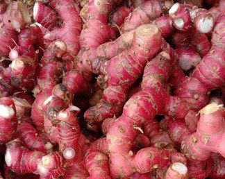 Người lao động có thể dùng củ riềng để chữa đầy bụng trong dịp Tết