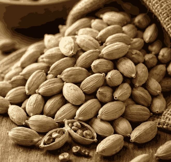 Cách thải độc gan, thanh lọc cơ thể bằng việc dùng loại gia vị quý