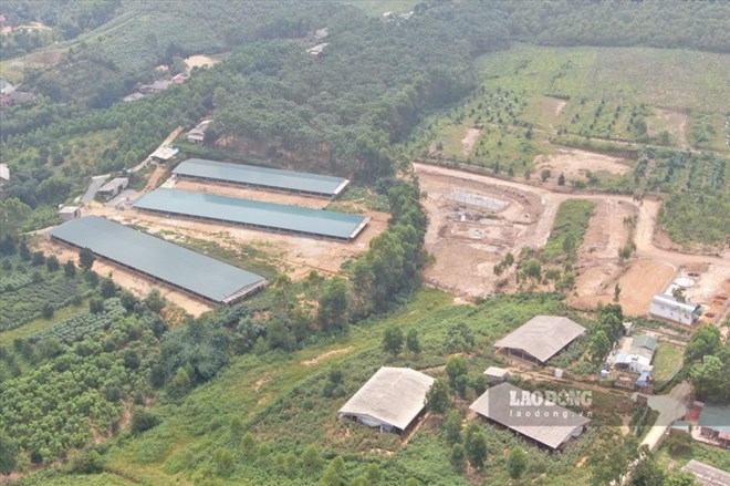 Nhiều xã ở Phú Thọ trắng rừng, tỉ lệ che phủ từ 0 đến dưới 1%