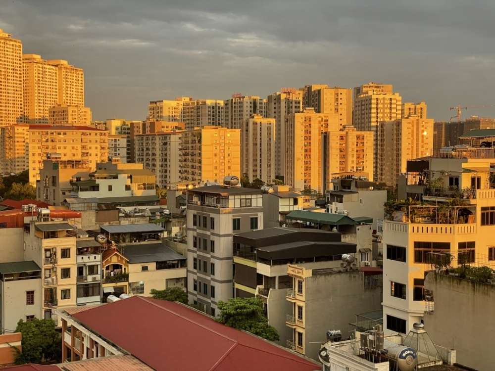 Khẩn trương xác thực thông tin người sử dụng đất