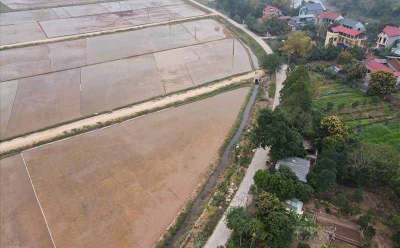 Tiền sử dụng đất khi chuyển đất vườn lên đất ở được cơ quan thuế xác định trên cơ sở phiếu chuyển thông tin từ cơ quan đất đai.
