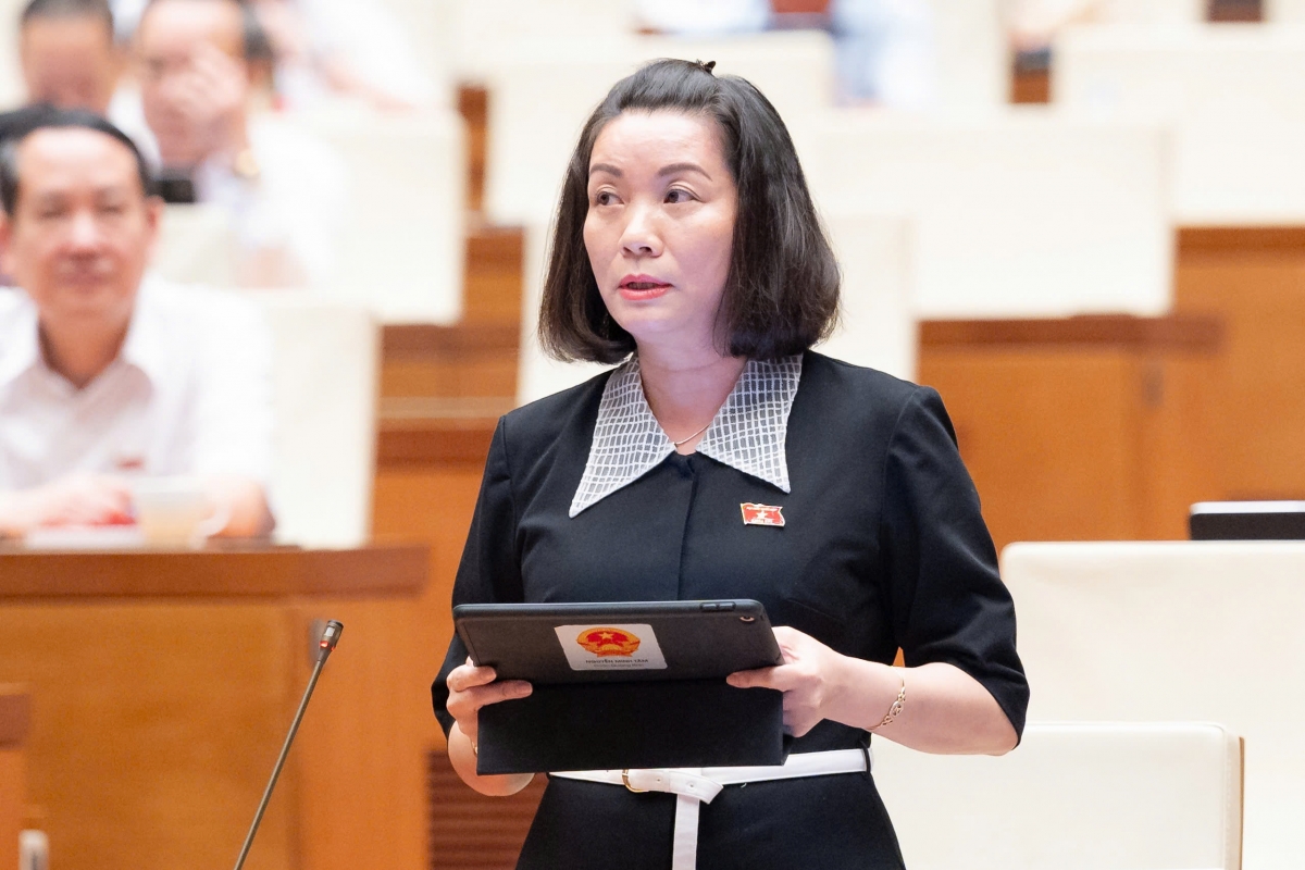 Thành lập TP. Đồng Nai trực thuộc Trung ương: Quy hoạch đi trước, tránh