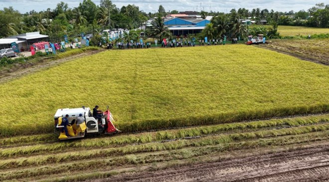 Bộ Nông nghiệp và Môi trường giải đáp về hỗ trợ khi thu hồi đất nông nghiệp