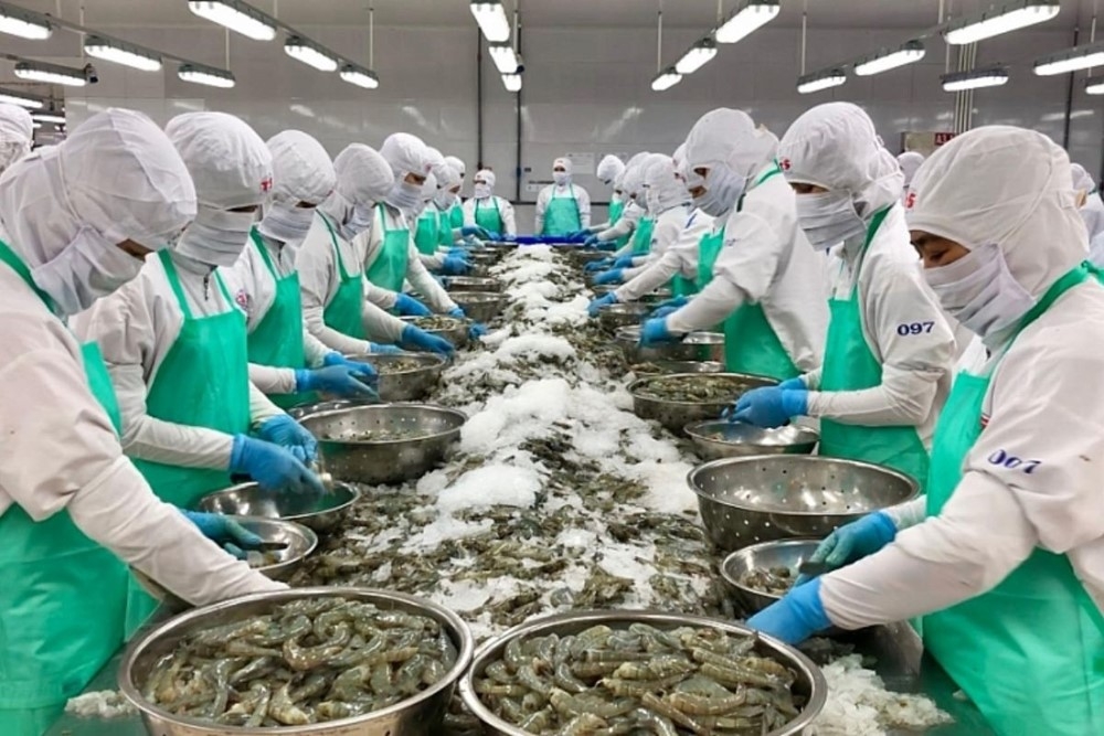 Ngành tôm tái cấu trúc chuỗi giá trị trước áp lực cạnh tranh Ngành tôm tái cấu trúc chuỗi giá trị