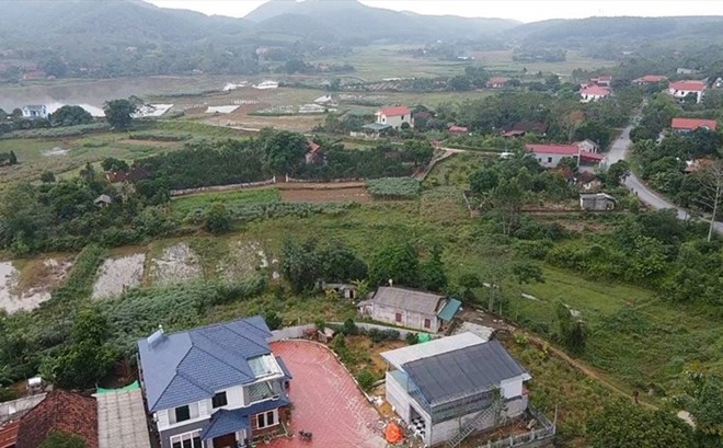 Đất ở Phú Thọ giá khởi điểm 375 triệu đồng/ô sắp được đưa ra đấu giá