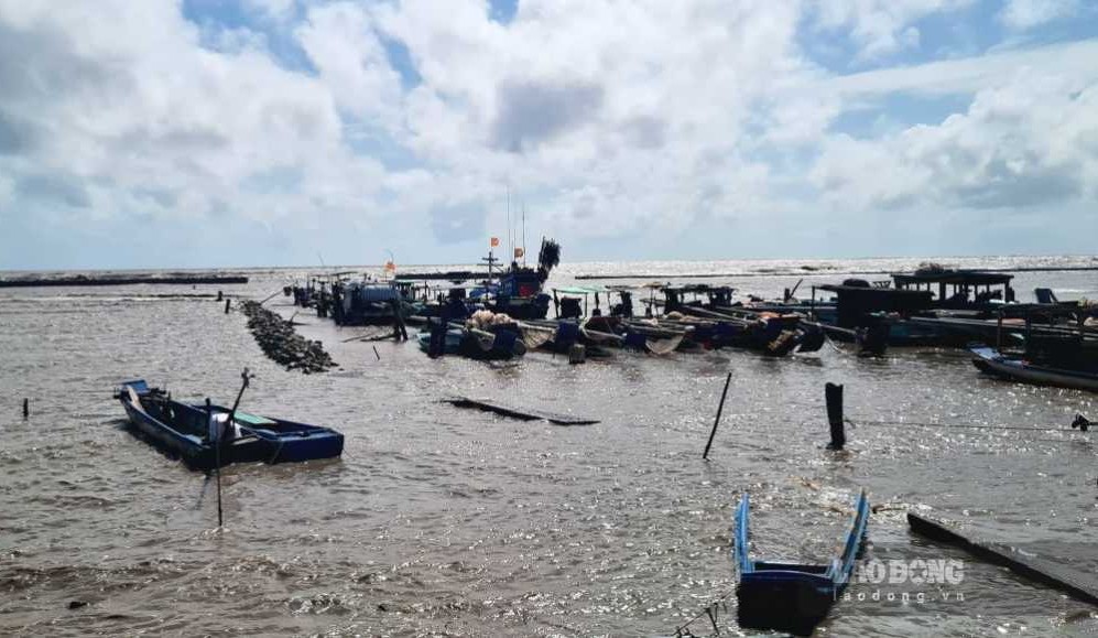 Tỉnh Cà Mau còn nhiều phương tiện đánh bắt gần bờ cần được hạn chế tiến tới chuyển đổi nghề. Ảnh: Nhật Hồ.