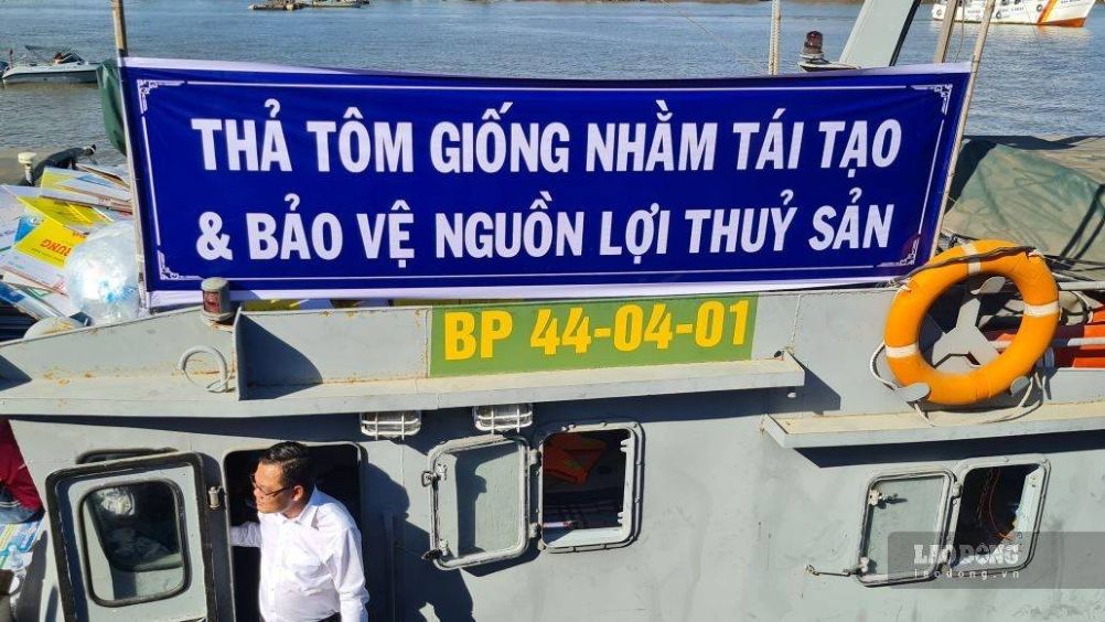 Cà Mau thường xuyên thả giống tái tạo môi trường thuỷ sản. Ảnh: Nhật Hồ.