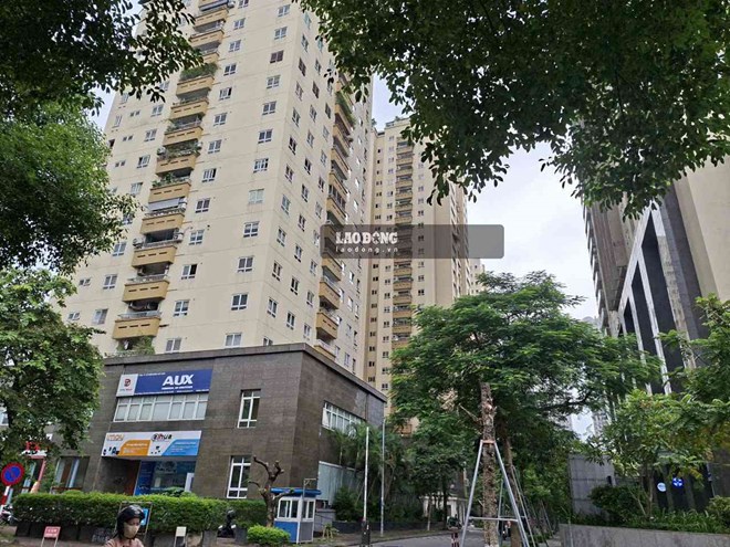 Giá chung cư mới tiếp tục tăng mạnh, thị trường thứ cấp quay đầu giảm