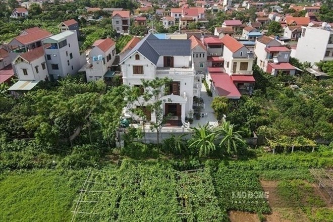 Làm rõ tiền sử dụng đất khi chuyển đất trồng cây lâu năm sang đất ở