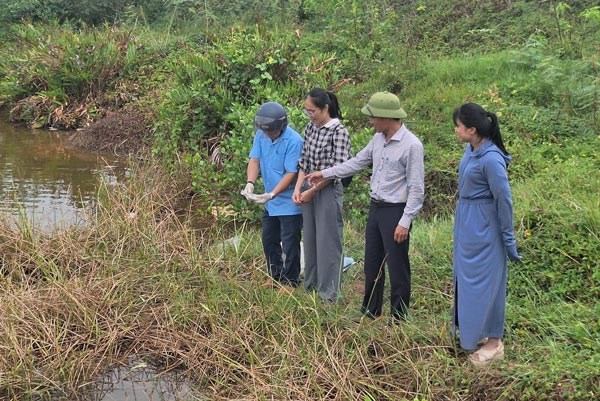 Cá chết hàng loạt ở Quảng Trị, người nuôi mất trắng