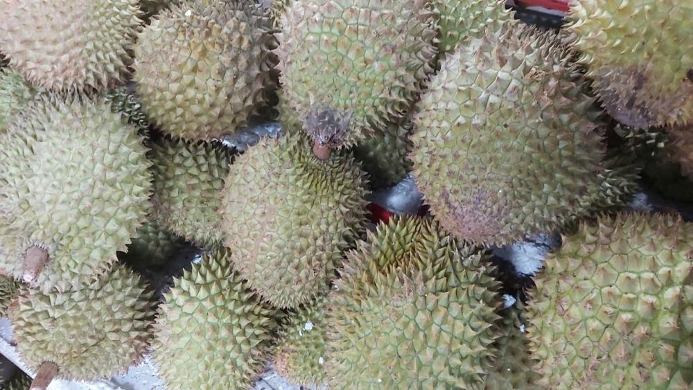 Giảm phát thải, nâng sức cạnh tranh cho nông sản Việt Nam