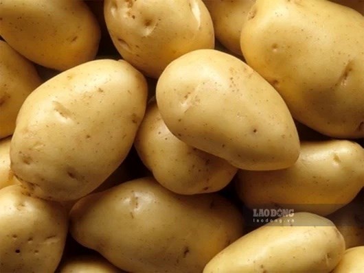 5 loại rau củ tốt cho người tăng huyết áp nên bổ sung vào thực đơn hằng ngày