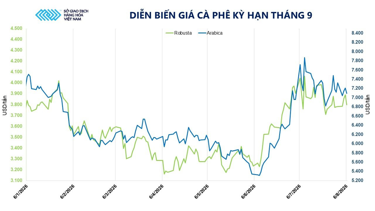 anh-3_-dien-bien-gia-ca-phe-ky-han-thang-9-1-.jpg