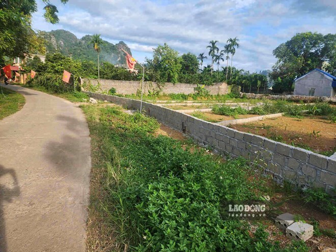 Giá đất nền đồng loạt giảm, nhiều nơi giảm hơn một nửa so với mức đỉnh