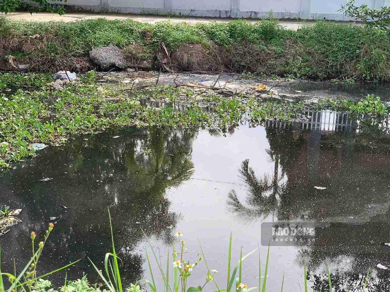 Người dân Tiên La lo nguồn nước ô nhiễm ảnh hưởng sản xuất nông nghiệp
