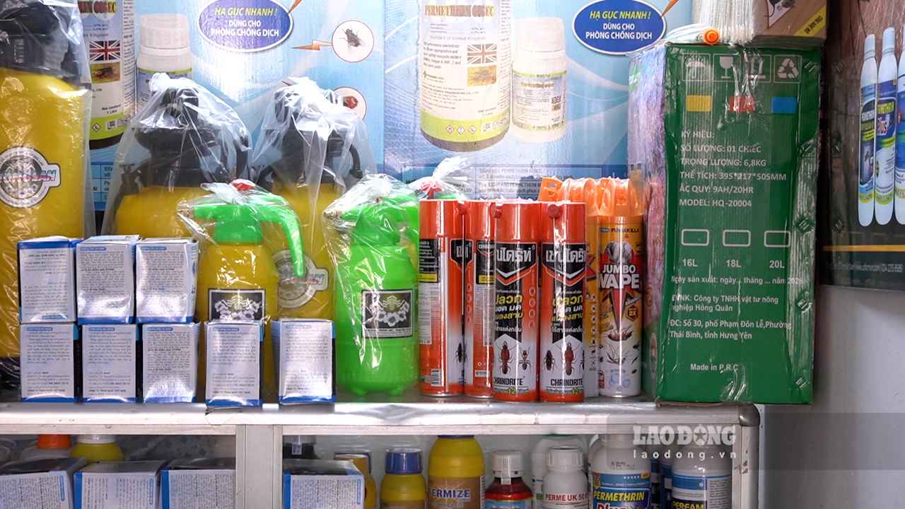 Người bán cho biết, dịch sốt xuất huyết thường vào mùa mưa ẩm, lượng người mua cũng gia tăng. Ảnh: An Phương