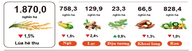 Nông, lâm nghiệp và thủy sản giữ đà tăng trưởng cuối năm Nông, lâm nghiệp và thủy sản giữ đà tăng trưởng cuối năm