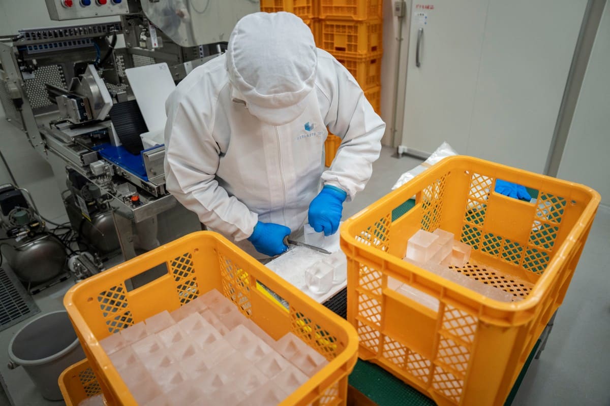 Một trong những quy trình sản xuất tại nhà máy Kuramoto Ice ở tỉnh Ishikawa, Nhật Bản. Ảnh: AFP