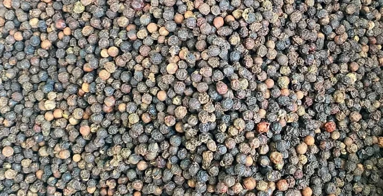Hồ tiêu Việt Nam tăng lượng xuất khẩu, nâng cao gia tăng giá trị Hồ tiêu Việt Nam tăng lượng xuất khẩu, nâng cao gia tăng giá trị