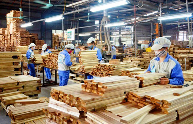 Nông lâm nghiệp Việt Nam: Từ lợi thế sản xuất đến làm chủ luật chơi toàn cầu