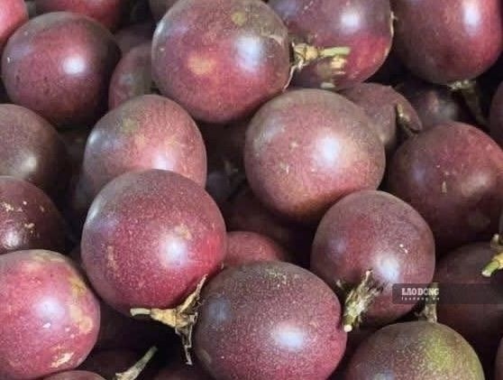 Lý do quả chanh dây có thể hỗ trợ kiểm soát mỡ máu