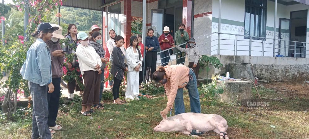 Các lớp đào tạo nghề cho lao động nông thôn đã và đang giúp nhiều gia đình thoát nghèo, phát triển kinh tế bền vững. Ảnh: Bảo Trung