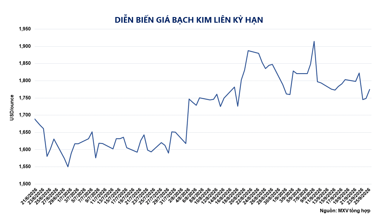 anh-4_-dien-bien-gia-bach-kim-nymex.png