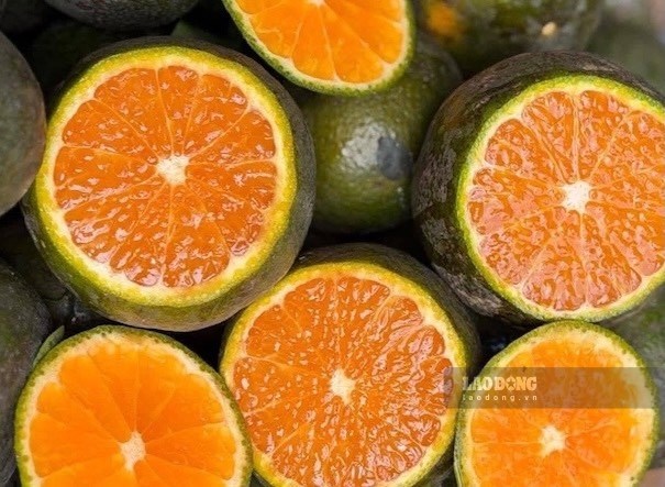 Bổ sung collagen tưởng đơn giản nhưng có 5 điều cần đặc biệt lưu ý