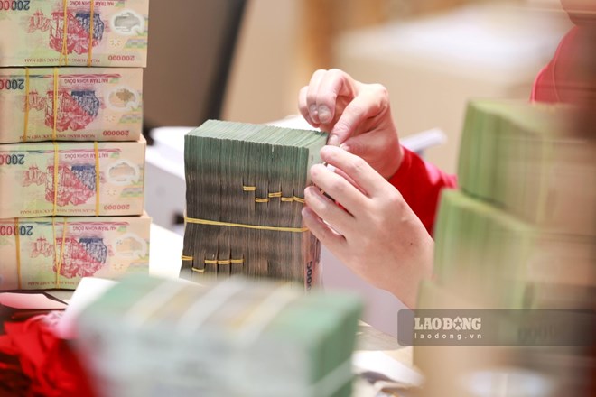 Bộ Nội vụ hướng dẫn về viên chức có bằng đại học 9 năm vẫn hưởng hệ số lương 3,65