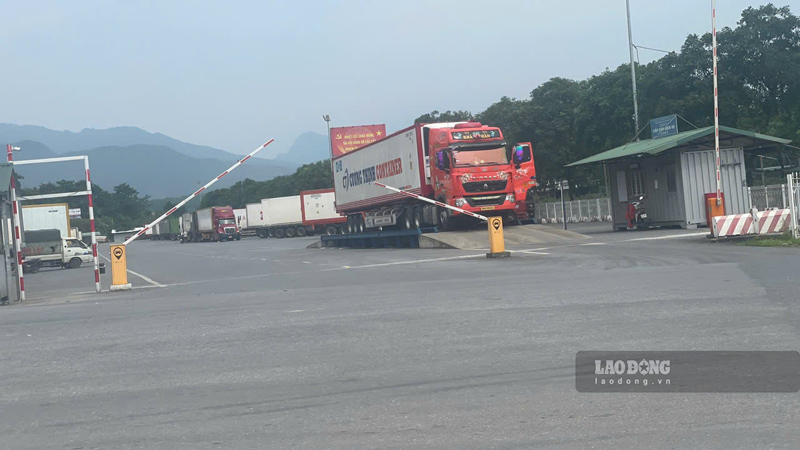Hoạt động xuất nhập khẩu qua khu vực cửa khẩu góp phần tạo nguồn thu lớn cho ngân sách phường Lào Cai. Ảnh: Đinh Đại