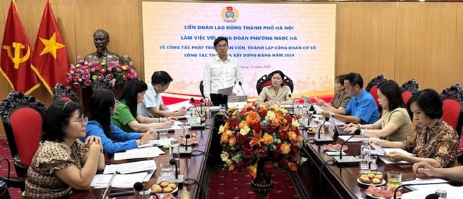 Hoàn thành cập nhật dữ liệu 100% đoàn viên mới trên hệ thống iHanoi