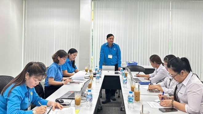 Công đoàn Vĩnh Long bàn giao 4 cơ sở nhà đất, kiểm tra tài chính công đoàn cơ sở