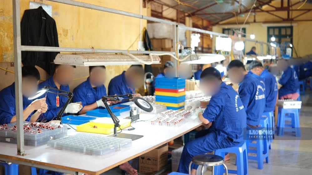 Các học viên được hỗ trợ học nghề lắp ráp linh kiện điện tử