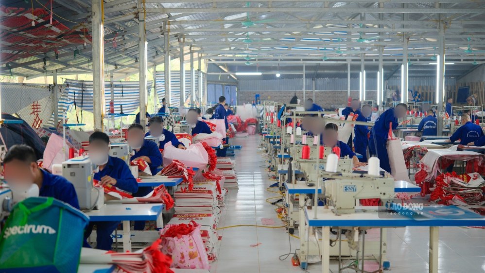 Các học viên tham gia lớp học may