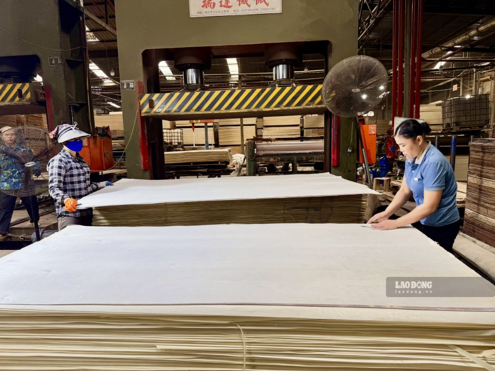 Chị Nguyễn Thị Huyền, tổ lăn keo, công ty Cổ phần Tre hỗ Hải Hiền phấn khởi với công việc phù hợp tại quê nhà. Ảnh: Việt Anh chụp tháng 10/2026.